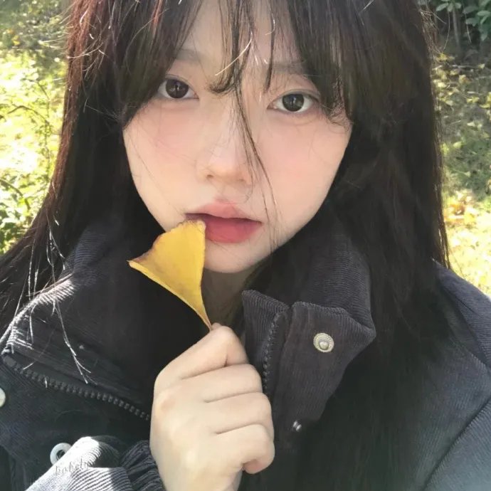 如何与我的猫分手